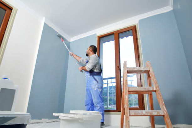 Best Touch-Up Painting  in USA